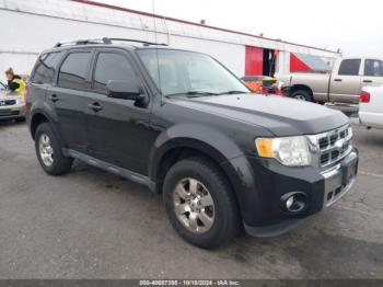  Salvage Ford Escape