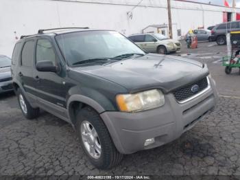  Salvage Ford Escape