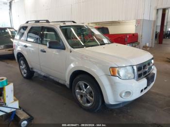  Salvage Ford Escape