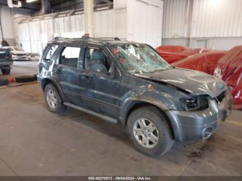  Salvage Ford Escape