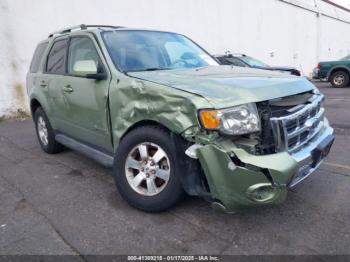  Salvage Ford Escape