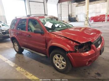  Salvage Ford Escape