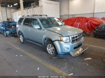  Salvage Ford Escape