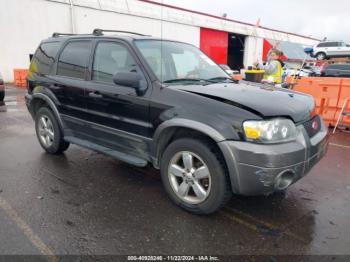  Salvage Ford Escape