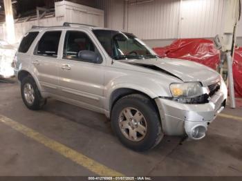  Salvage Ford Escape