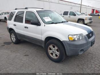  Salvage Ford Escape