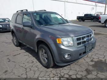  Salvage Ford Escape