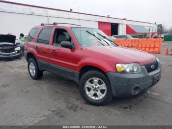  Salvage Ford Escape