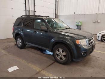  Salvage Ford Escape