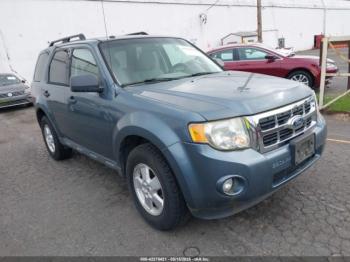  Salvage Ford Escape