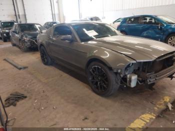  Salvage Ford Mustang