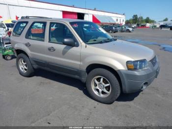  Salvage Ford Escape