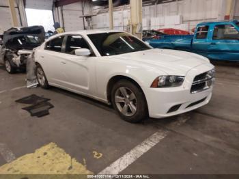  Salvage Dodge Charger
