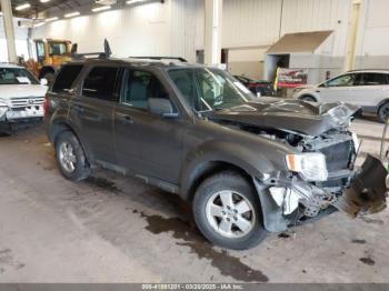  Salvage Ford Escape