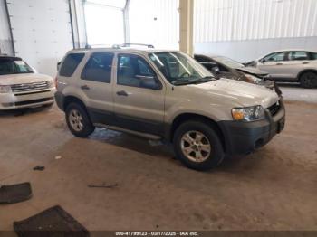  Salvage Ford Escape
