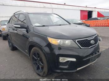  Salvage Kia Sorento