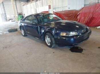  Salvage Ford Mustang