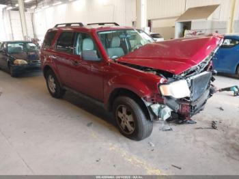  Salvage Ford Escape
