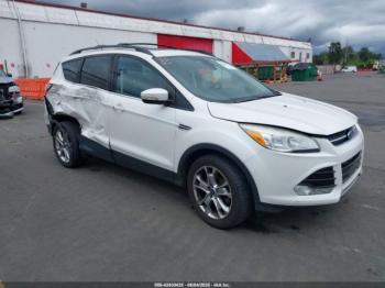  Salvage Ford Escape