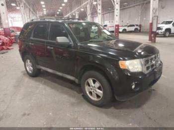  Salvage Ford Escape