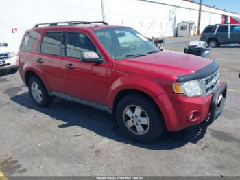  Salvage Ford Escape