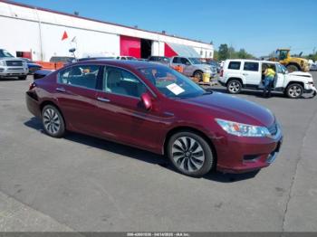  Salvage Honda Accord