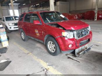  Salvage Ford Escape