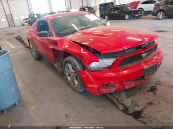  Salvage Ford Mustang