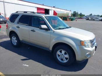 Salvage Ford Escape