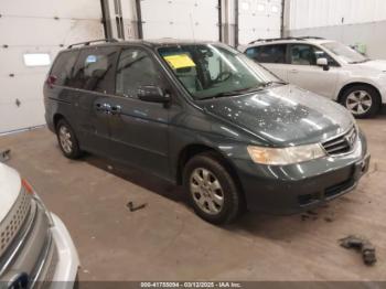  Salvage Honda Odyssey