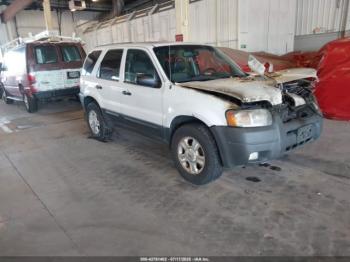 Salvage Ford Escape