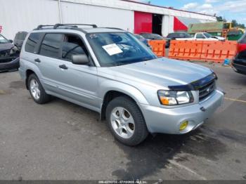  Salvage Subaru Forester