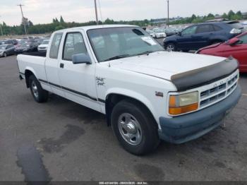  Salvage Dodge Dakota
