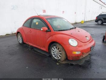  Salvage Volkswagen Beetle