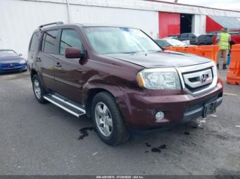  Salvage Honda Pilot
