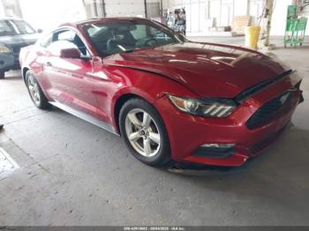  Salvage Ford Mustang