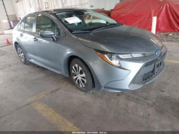  Salvage Toyota Corolla