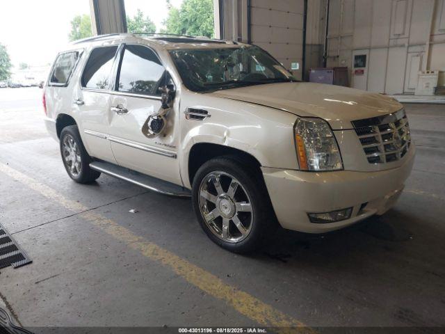  Salvage Cadillac Escalade