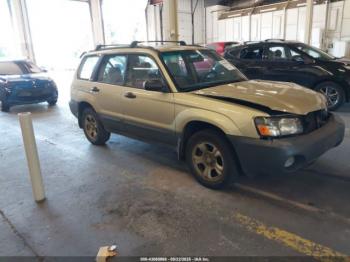  Salvage Subaru Forester