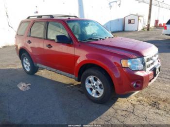  Salvage Ford Escape