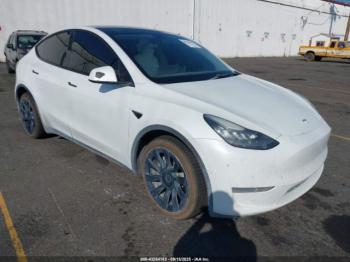  Salvage Tesla Model Y
