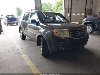  Salvage Honda Pilot