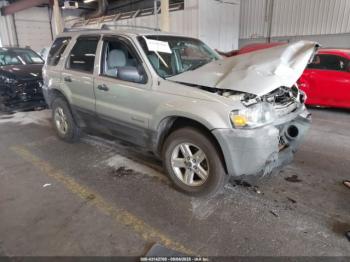  Salvage Ford Escape