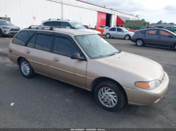 Salvage Ford Escort