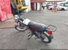 Sayang Sym Wolf Image 2