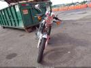 Sayang Sym Wolf Image 4