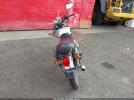 Sayang Sym Wolf Image 10