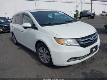  Salvage Honda Odyssey