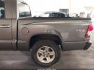 Dodge Dakota Image 12