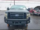 Ford F-150 Image 13